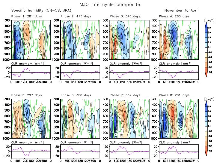 MJO Life cycle composite Q(vertical