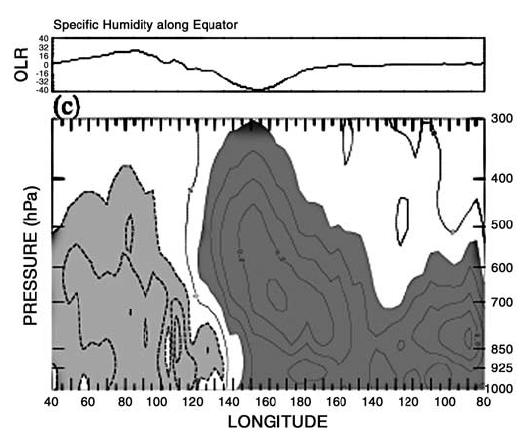 Humidity structure in longitude and