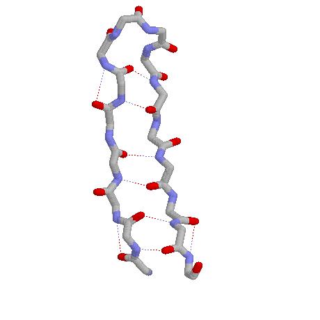 The β-hairpin Structural Bioinformatics: Proteins Proteins: The Molecule of Life Proteins: Building Blocks Proteins: Secondary Structures Proteins: Ter;ary and