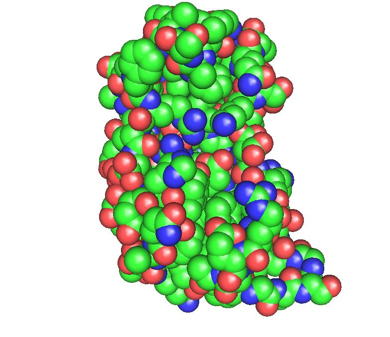 Protein Structure Representa;on