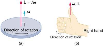 Vektor halaju sudut: selari dengan paksi putaran, sama dengan hukum tangan kanan w