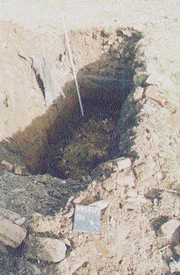 2m Plate 4: Trench 4 looking