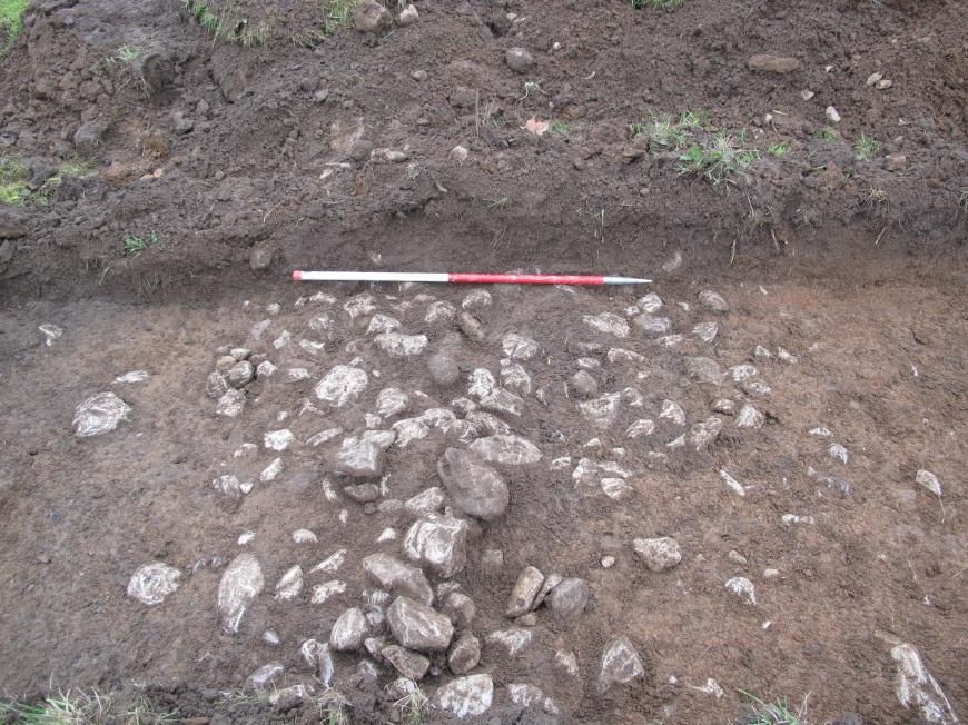 in trench 3, looking south west Figure 9: Bank F8 in