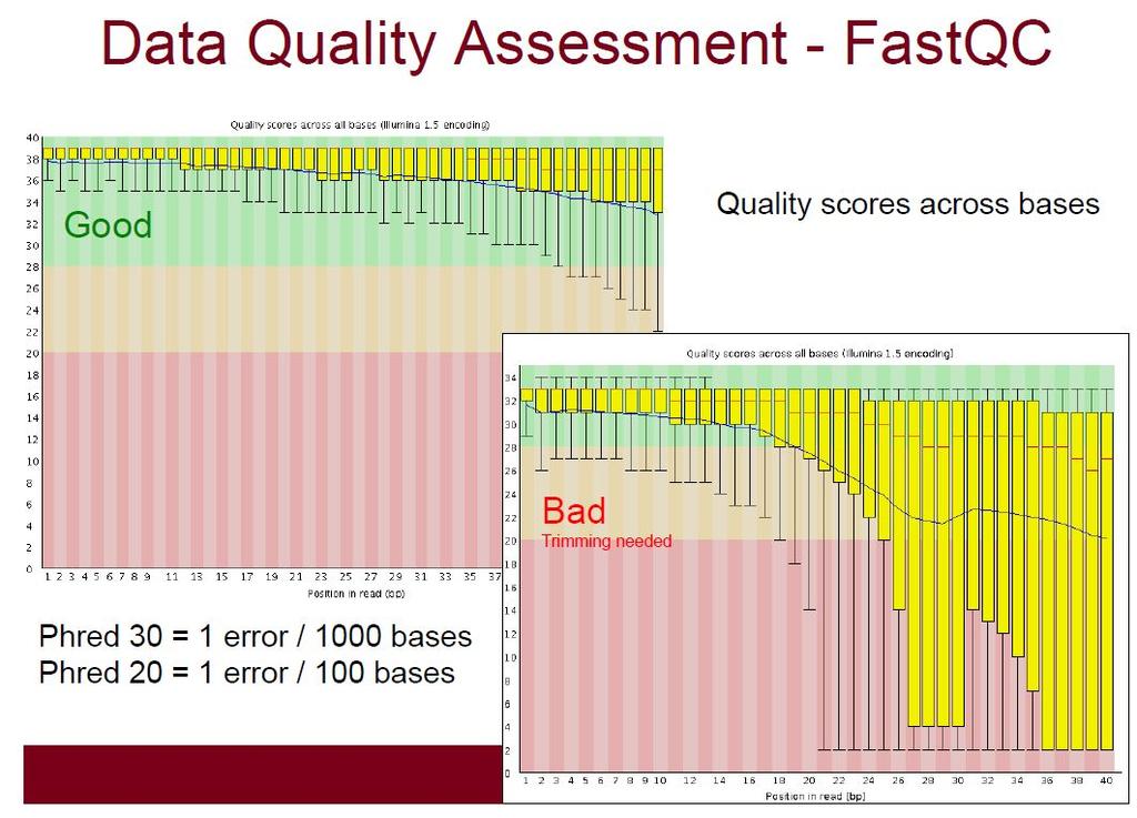 Quality Assessment & Trimming Lecture 6: