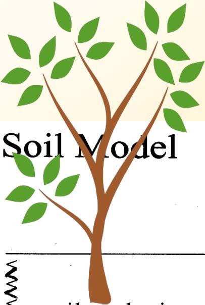 biomass soil solution primary minerals organic solids residues and