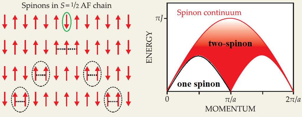 Neutron Scattering Measurement of Spin Fractionalization Spinons are created in pairs. A spinon has spin ½. Neutron scattering: S sample = ± 1.