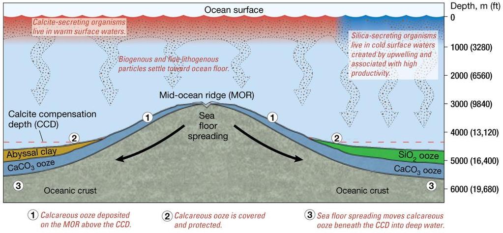 Sea Floor Spreading and