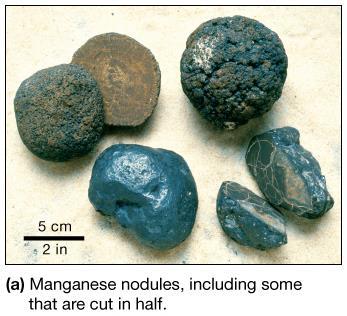 Manganese Nodules Fist-sized lumps of manganese, iron, and other metals Very slow accumulation rates Many commercial uses Unsure why they are not buried by seafloor sediments Phosphates, Carbonates &