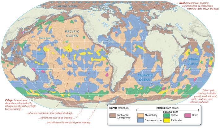 Pelagic and Neritic Sediment Distribution Neritic sediments cover about ¼ of the sea floor. Pelagic sediments cover about ¾ of the sea floor.