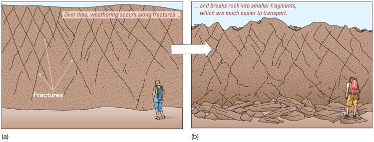 Lithogenous Sediments Eroded rock fragments from land Also called terrigenous Reflect composition of rock