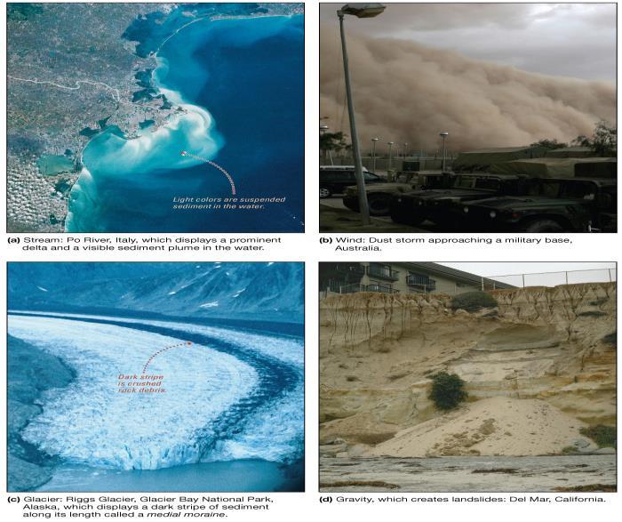 Lithogenous Sediment Transport Mechanisms Carried to ocean by Streams (a) Wind (b) Glaciers (c) Gravity (d) Neritic Lithogenous Sediments Beach deposits Mainly wave-deposited