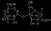groups around the carbon atoms 2. Disaccharides: (C12 H22 O11) two monosaccharide units A. sucrose table sugar B.