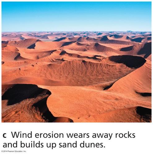 Erosion by Wind Wind wears away rock and
