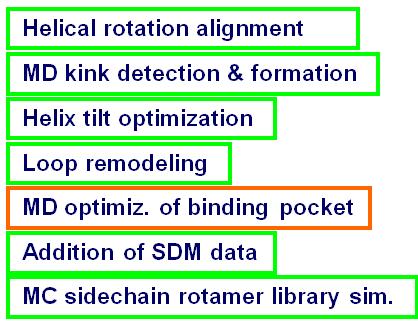 GPCR model start points are selected Optimized by