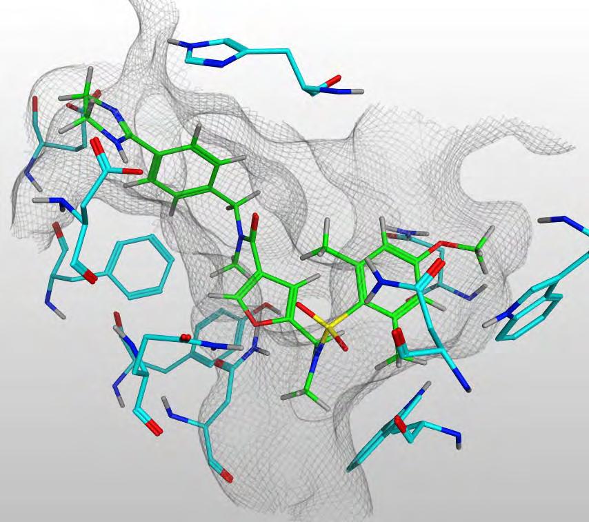 Evotec furan sulfonamide compound Fast-follower series in the B1 pocket