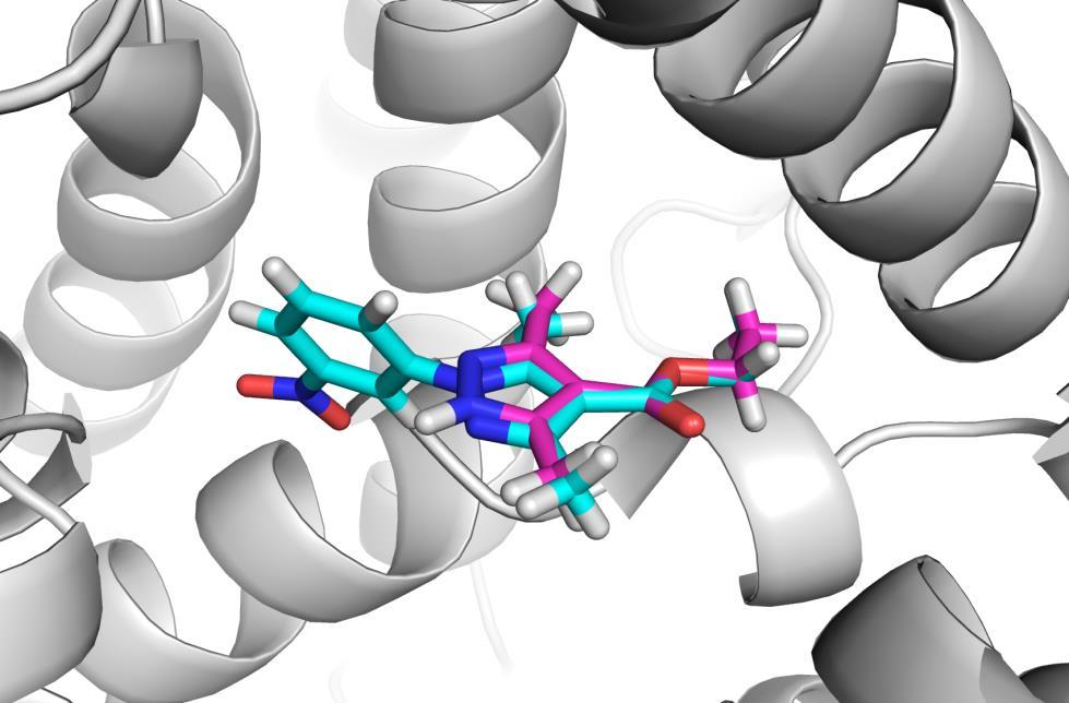 Validation Dataset previously published by Ichihara and colleagues 1 Set of fragment- and leadbound protein crystal structures Fragment binding position maintained in lead Perfect dataset for testing