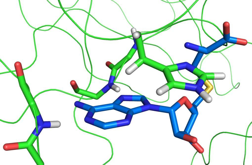 Application to Docking with GOLD Docking S- adenosylhomocysteine (SAH) to mixed lineage