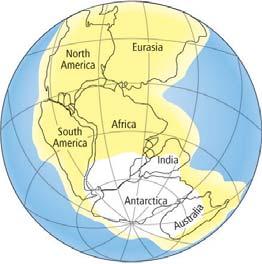 Evidence of Continental Drift Climate Wegener argued that because Glossopteris grew in temperate climates, the places where the fossils had been found had been closer to the equator.