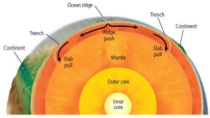 plate pulls trailing lithosphere into a subduction zone.