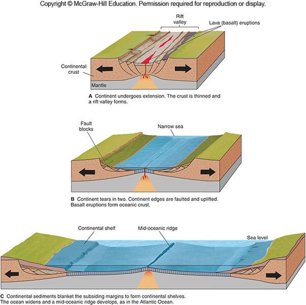 Divergent Plate Boundaries Divergent plate boundaries plates