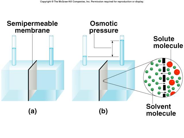 Osmosis is the selective passage of solvent molecules through a semipermeable