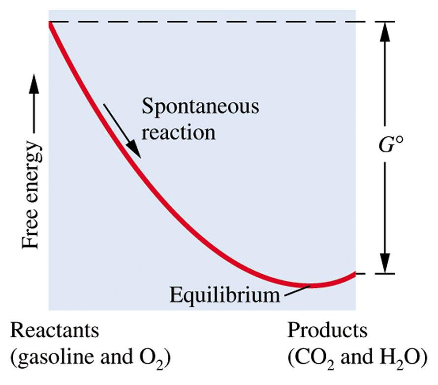 Free energy change during reaction 61 Free energy change during reaction 62 Free Energy and Equilibrium Constant Very important