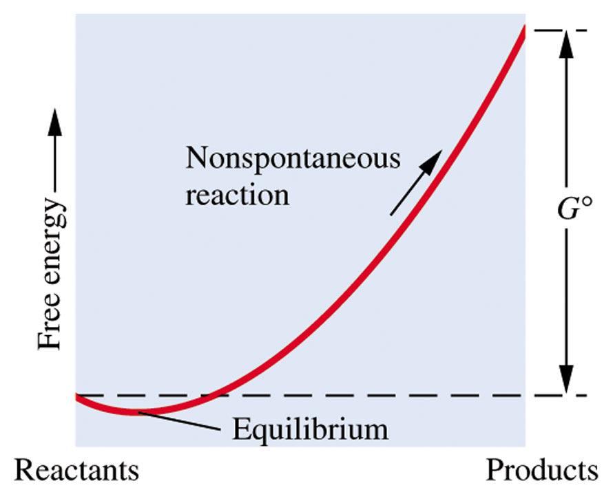 Thermodynamic Equilibrium Constant- the equilibrium constant in which the concentration of gases are expressed in partial pressures