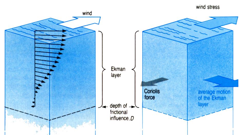 Ekman flow Force balance within the upper ocean.