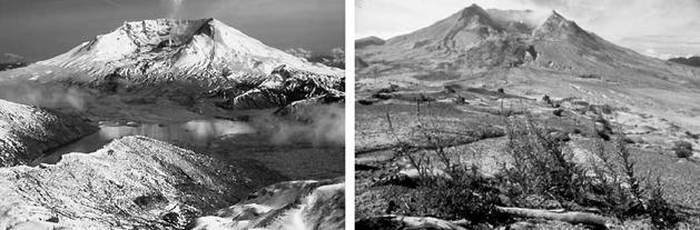 Figure 53.19 Patchiness and recovery following a large-scale disturbance: Mount St. Helens Figure 53.18 Patchiness and recovery following a large-scale disturbance by fire.