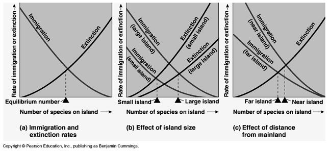 phylogeography Phylogeography: ecological genetics Study of populations (not species), their distributions, and the degree of genetic separation between populations Investigates the cause of