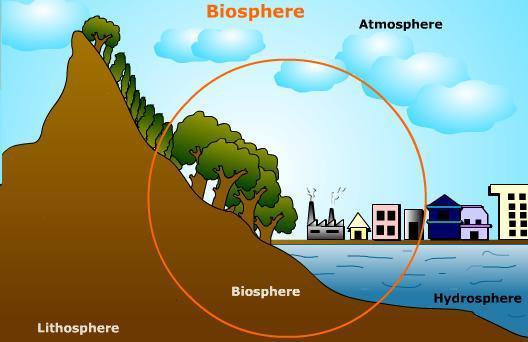 Abiotic Biome Biosphere Biotic Latitude Temperature Precipitation Elevation