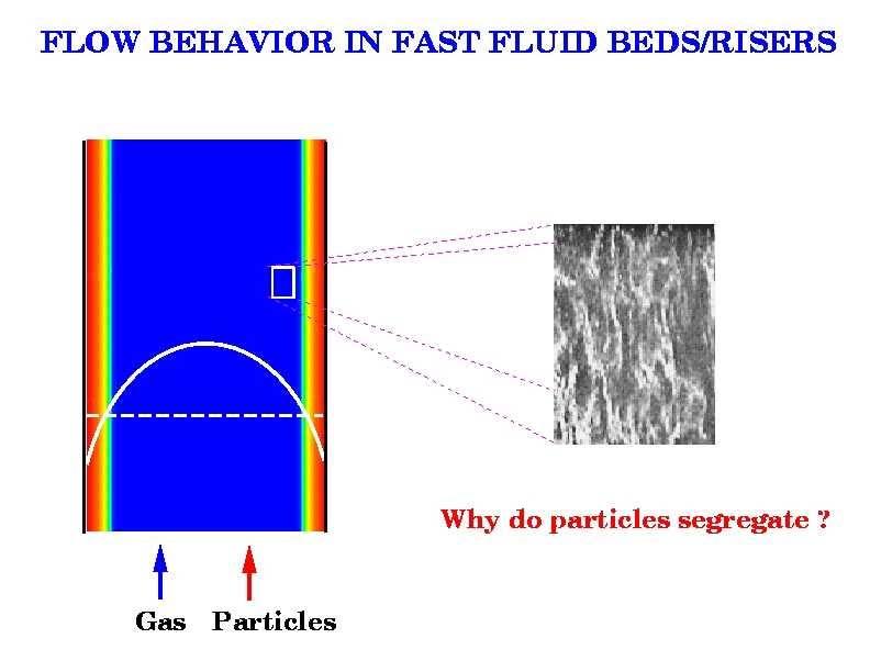 Characteristics of flows in turbulent fluidized beds & fast fluidized beds Persistent density and velocity fluctuations Wide range