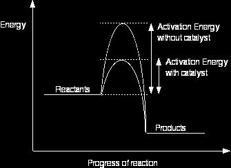 alternative route has a lower activation energy. Showing this on an energy profile: A word of caution! Be very careful if you are asked about this in an exam.