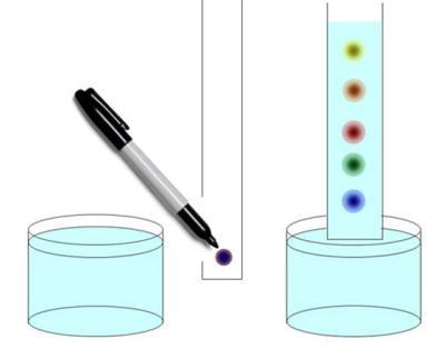 Paper Chromatography The paper chromatography test can be used to determine if a substance is a pure substance or a solution.