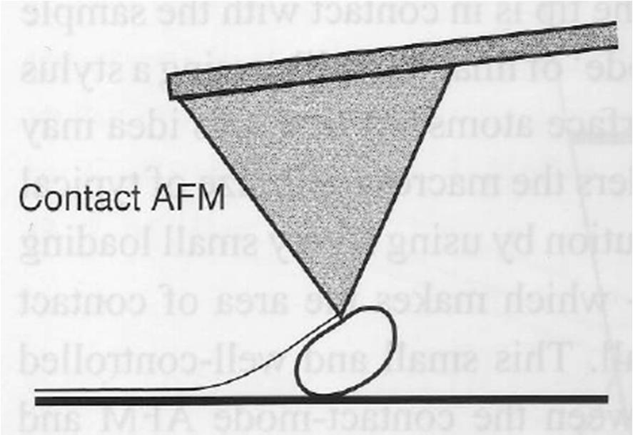 Imaging Modes in AFM Static Mode: tip deflection is the feedback signal - very high