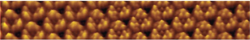 AFM allows Proteins to be