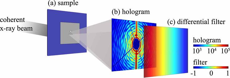 Magnetic X-ray holography Thomas A.
