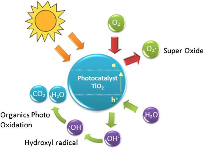 TiO 2 NPs Bactericidal agent when exposed to UV light (it is a well known photocatalyst) Low cost The