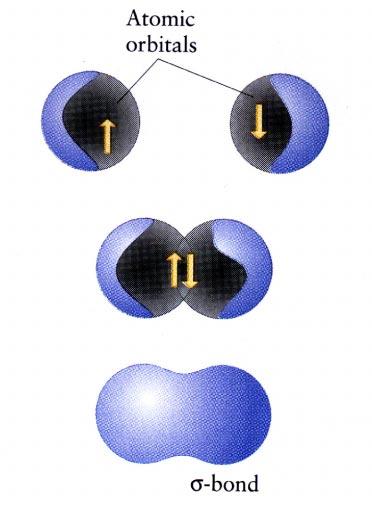 σ and π Bonds Two half-filled s orbitals overlapping to form a