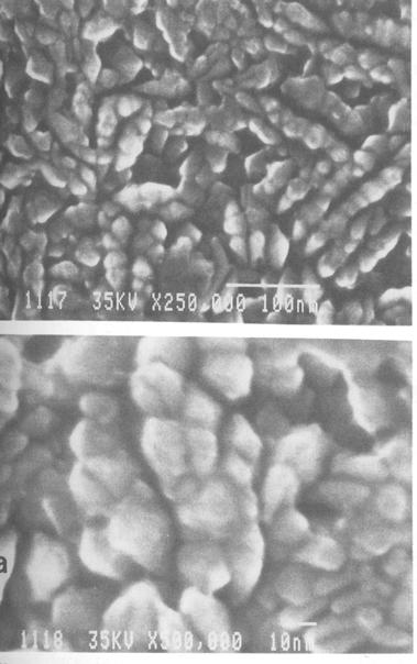 Figure 17. High-resolution secondary electron images of the surface of the magnetic storage of a computer hard disc.