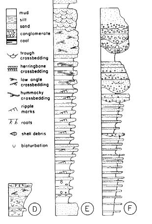 25. The following stratigraphic columns represent a sequence of rocks deposited during changes in depositional environments.