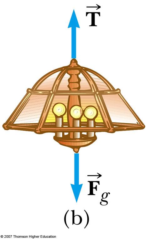 Equilibrium, Example 1 q A lamp is suspended from a chain of negligible mass q The forces acting on the lamp