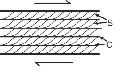 Characteristic geometry of C-S and C- C structures in a dextral shear zone 1.