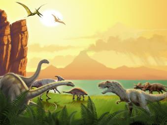 Mesozoic Era (251 to 65.5 mya) Dinosaurs were the dominant land vertebrates.