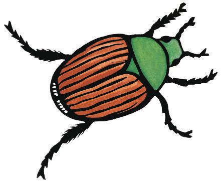 Looking for Poets At the back of the book there is a description of each type of poem in Hey There, Stink Bug! Choose a type of poem and try writing your own. Here is a haiku to get you warmed up.