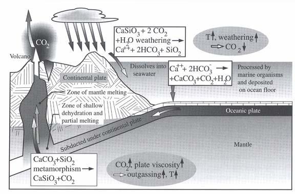 A mostly geological oxygen cycle http://lasp.