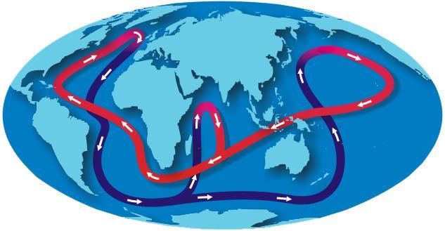 Ocean Circulation The combined effect of all the currents in the oceans Thermohaline