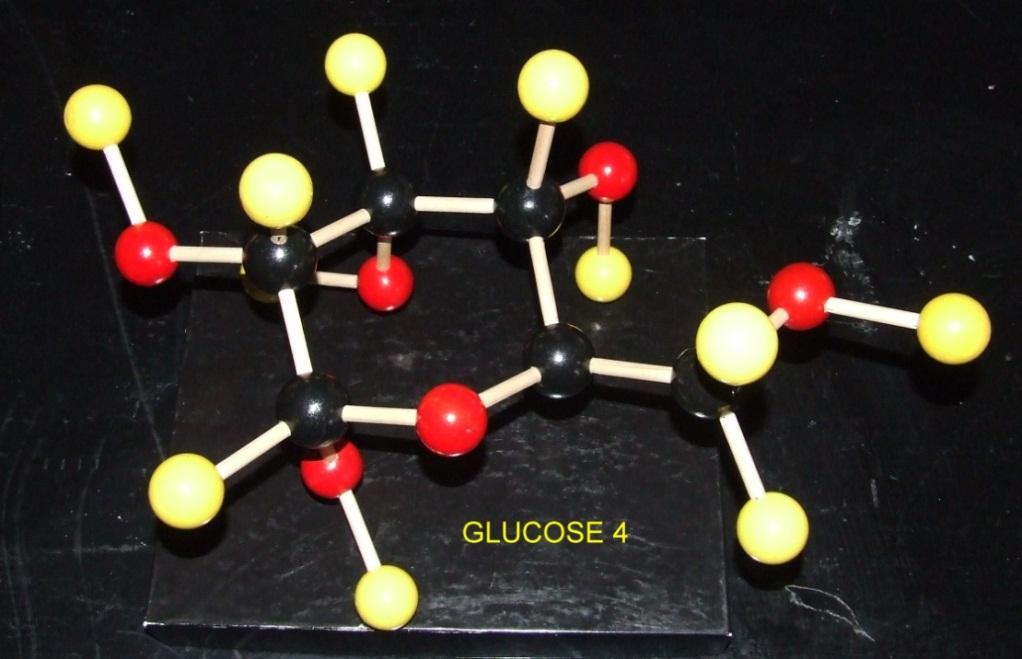 Make models of glucose