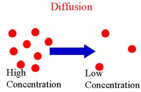 Diffusion: Diffusion: movement of molecules from high concentration to low