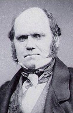 Charles Darwin Was a British naturalist Wrote 19 books in his lifetime